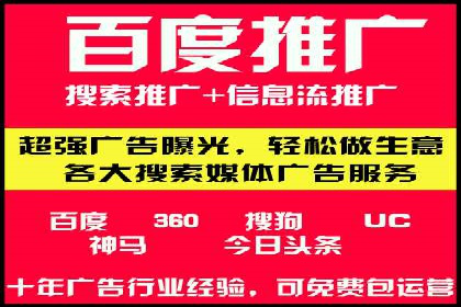 行业报告：专业SEM托管的成功实践与挑战